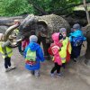 IMG_20190520_104825 (1)